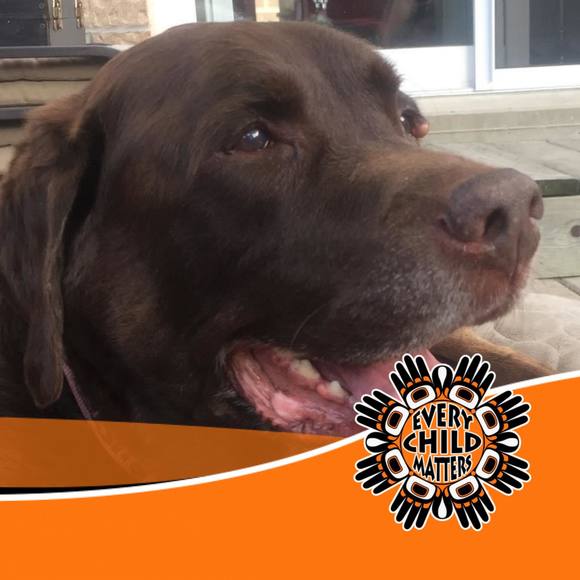 Meet your Posher, Elise - Picture 1 of 1